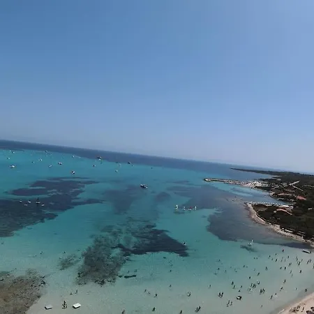 Solo Il Fruscio Del Mare Biancareddu